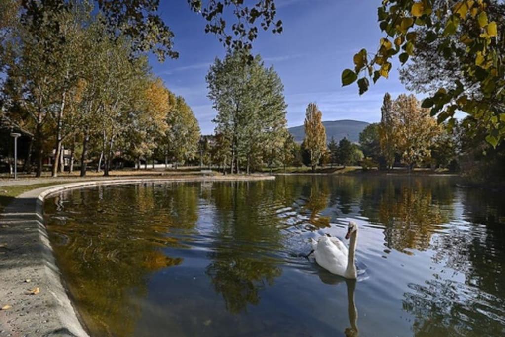 Ideal Parejas - Tranquilidad Y Naturaleza - Vistas Al Apartment Osseja